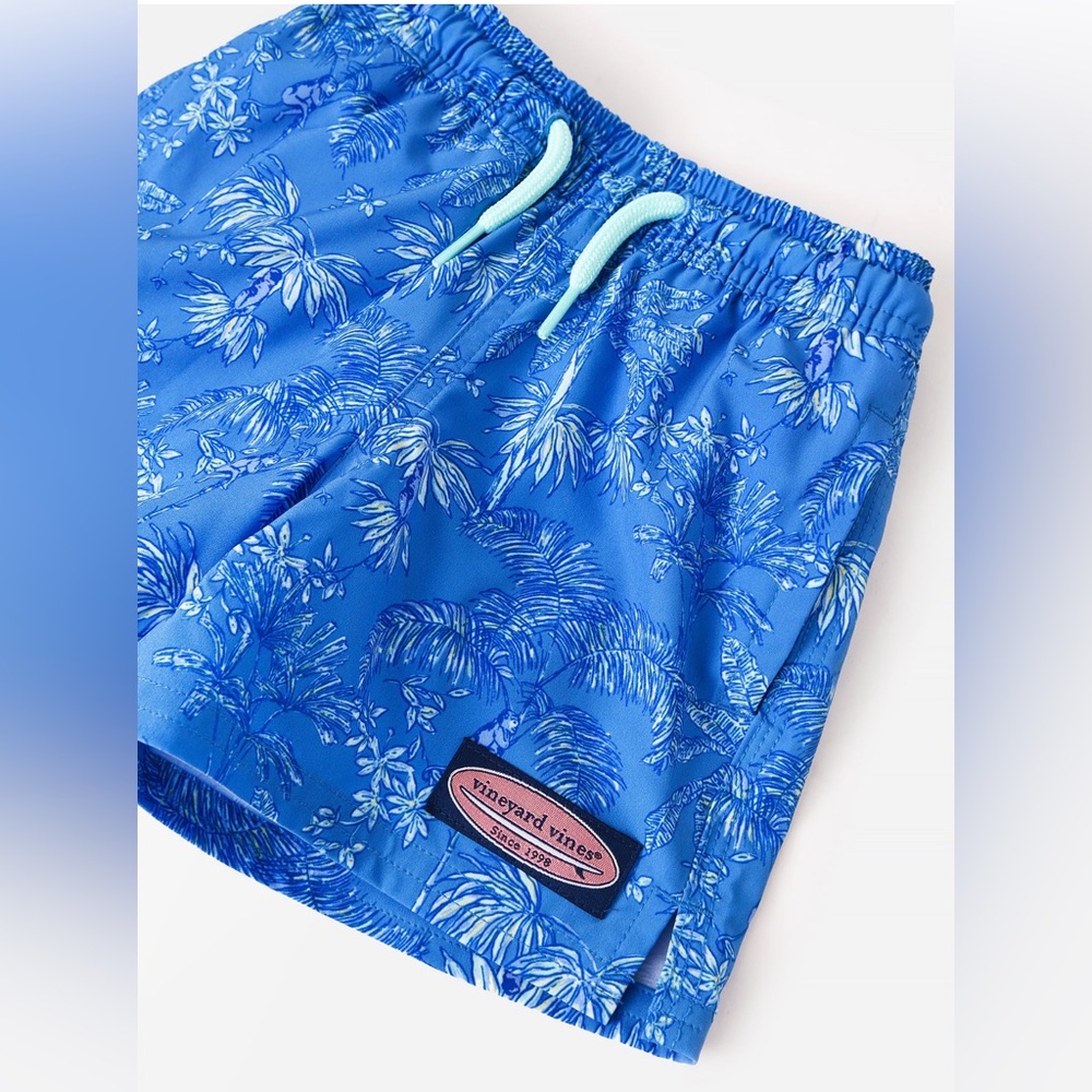 Vineyard Vines Monkey Blue boys size L swim trunks